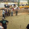 p1000066